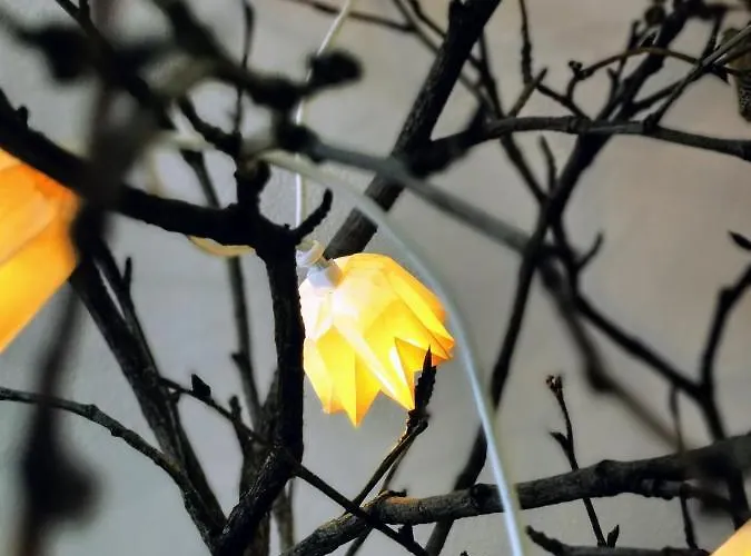 Apartman Spirit Piz Mezdi 15