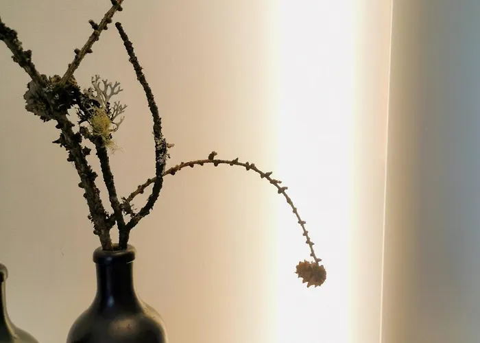 Spirit Piz Mezdi 15 * St. Moritz