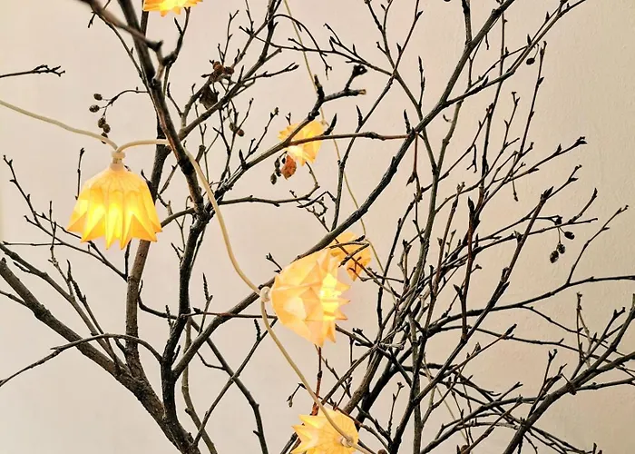 Daire Spirit Piz Mezdi 15